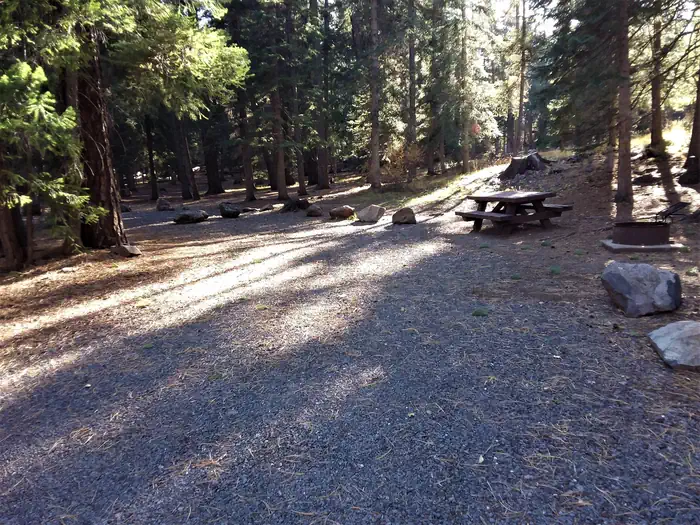 View of site 14 at Grayling Campground
