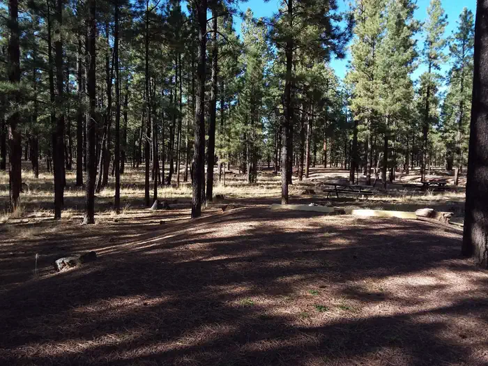 HOYER Campground