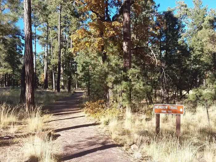 Meadow Trail