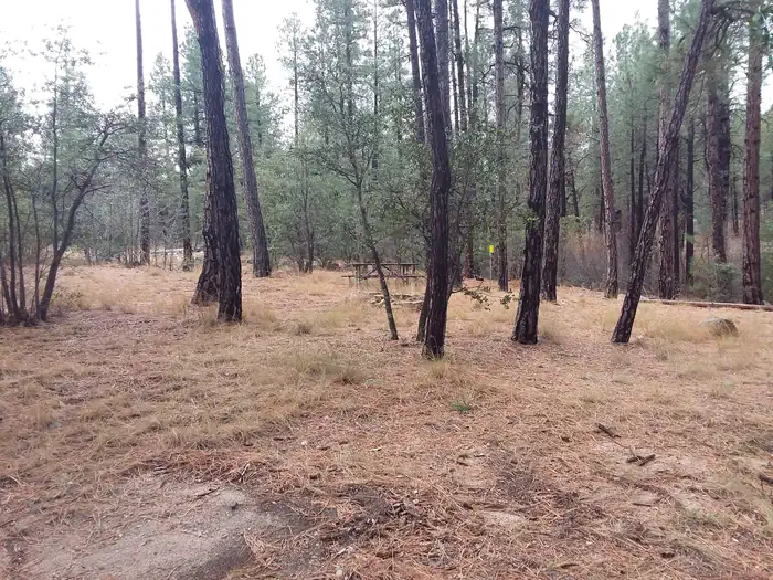 Turney Gulch Camping Area with Picnic Table and Fire Pit