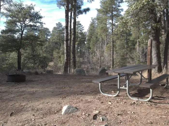 UPPER WOLF CREEK GROUP CAMP Sites