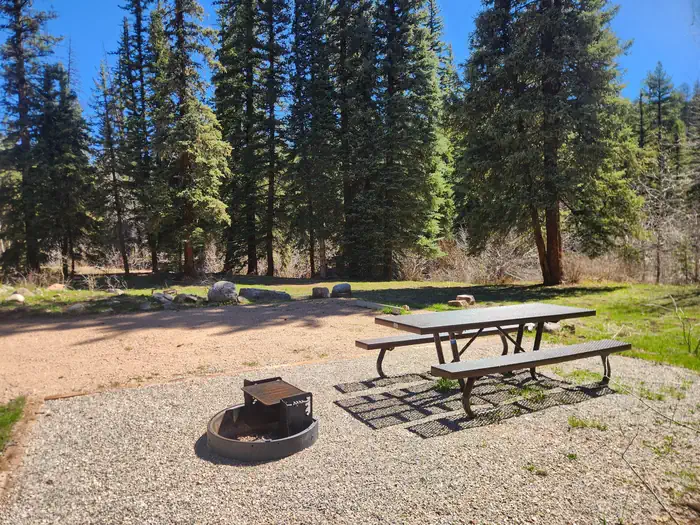 Florida offers several first-come single camp sites, some double sites, and one reservation only group site