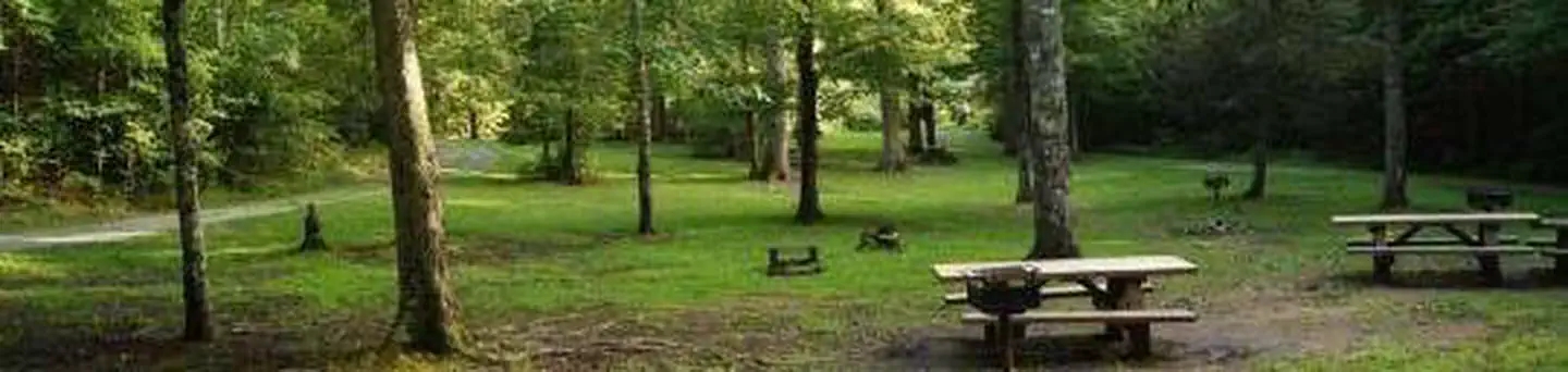 MCNABB CREEK GROUP