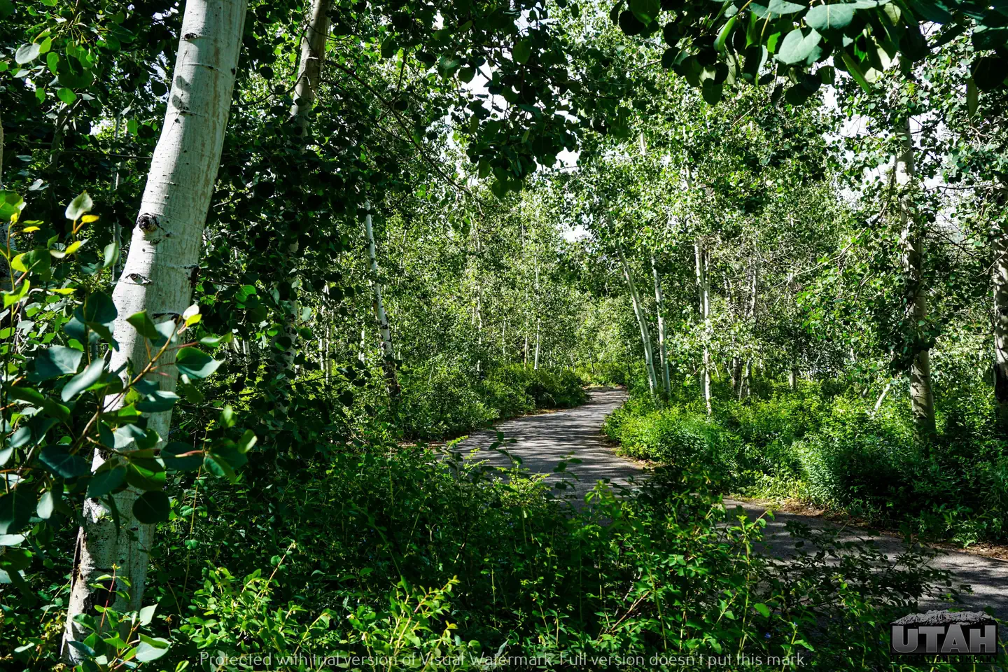 Payson Lakes Campground 10