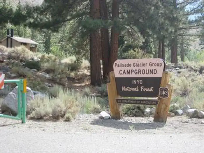 A Forest Service brown and yellow sign on the side of a road