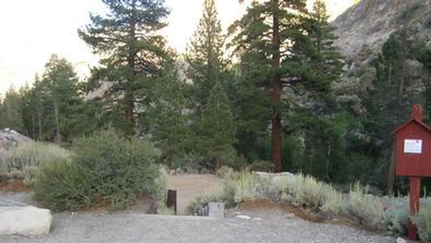 BISHOP PARK GROUP