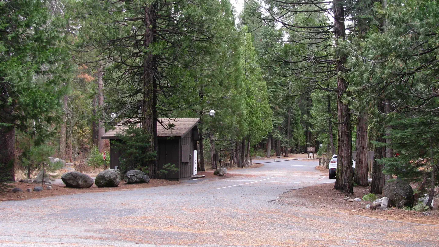 PINECREST