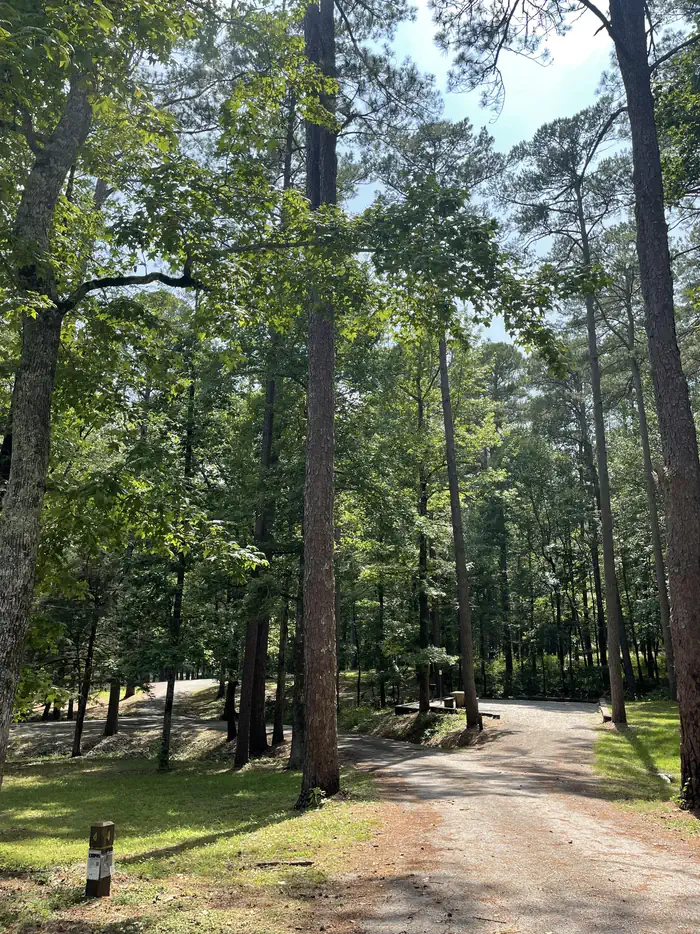 Campsites