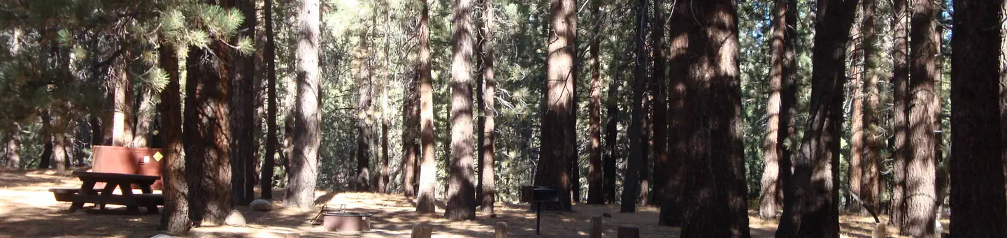 PINE GLEN