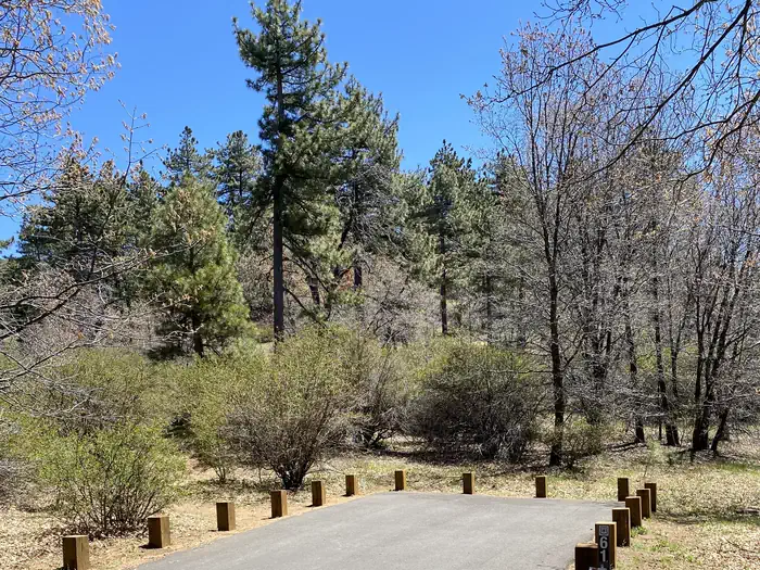 Laguna Campground Campsite