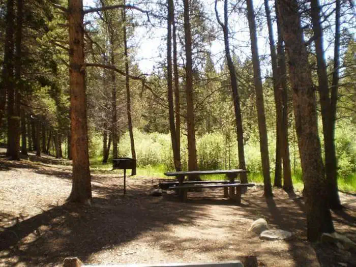 Silver Dollar Campground site 2