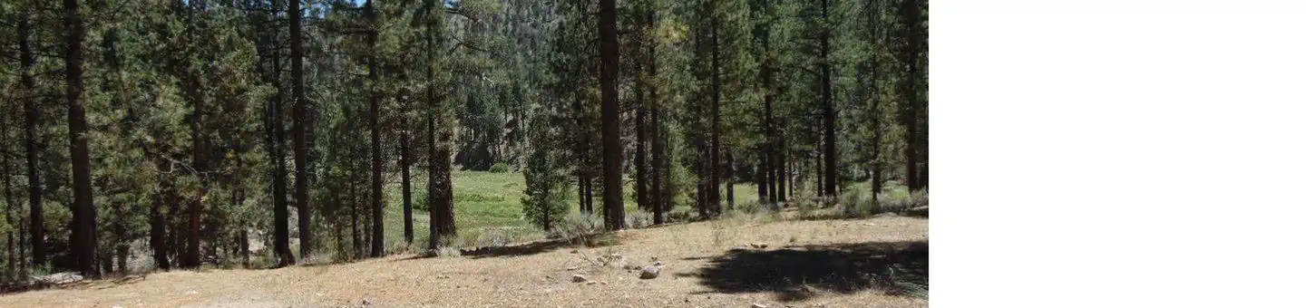 HEART BAR CAMPGROUND
