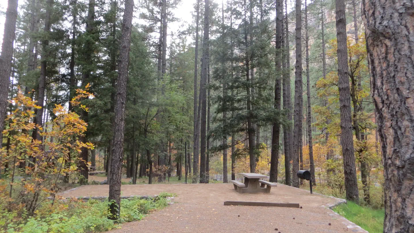 PINE FLAT CAMPGROUND WEST