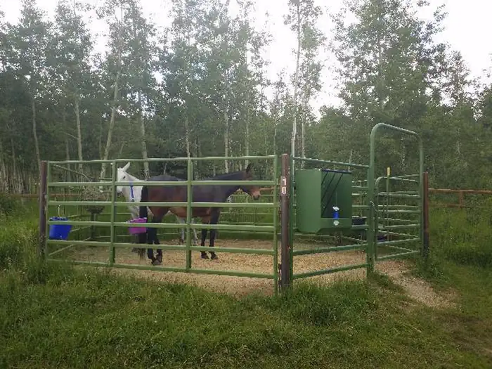 Horse corrals are available for each campsite.