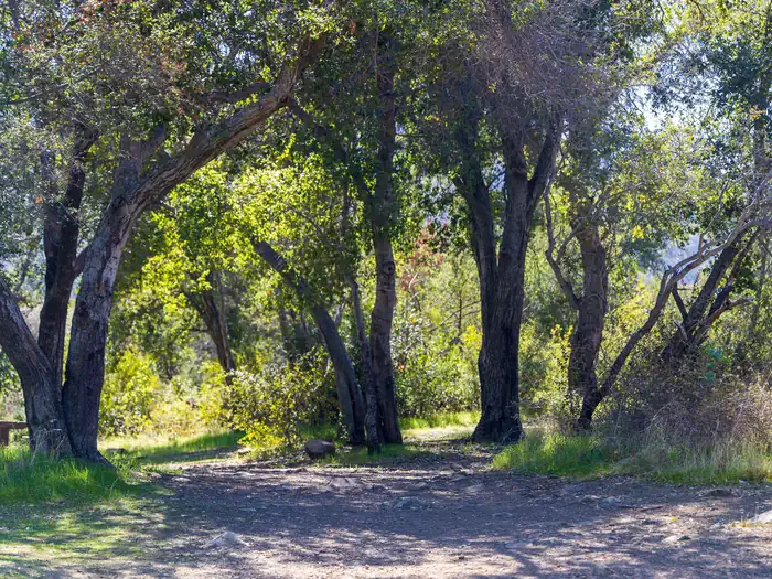 Holiday group Campground a