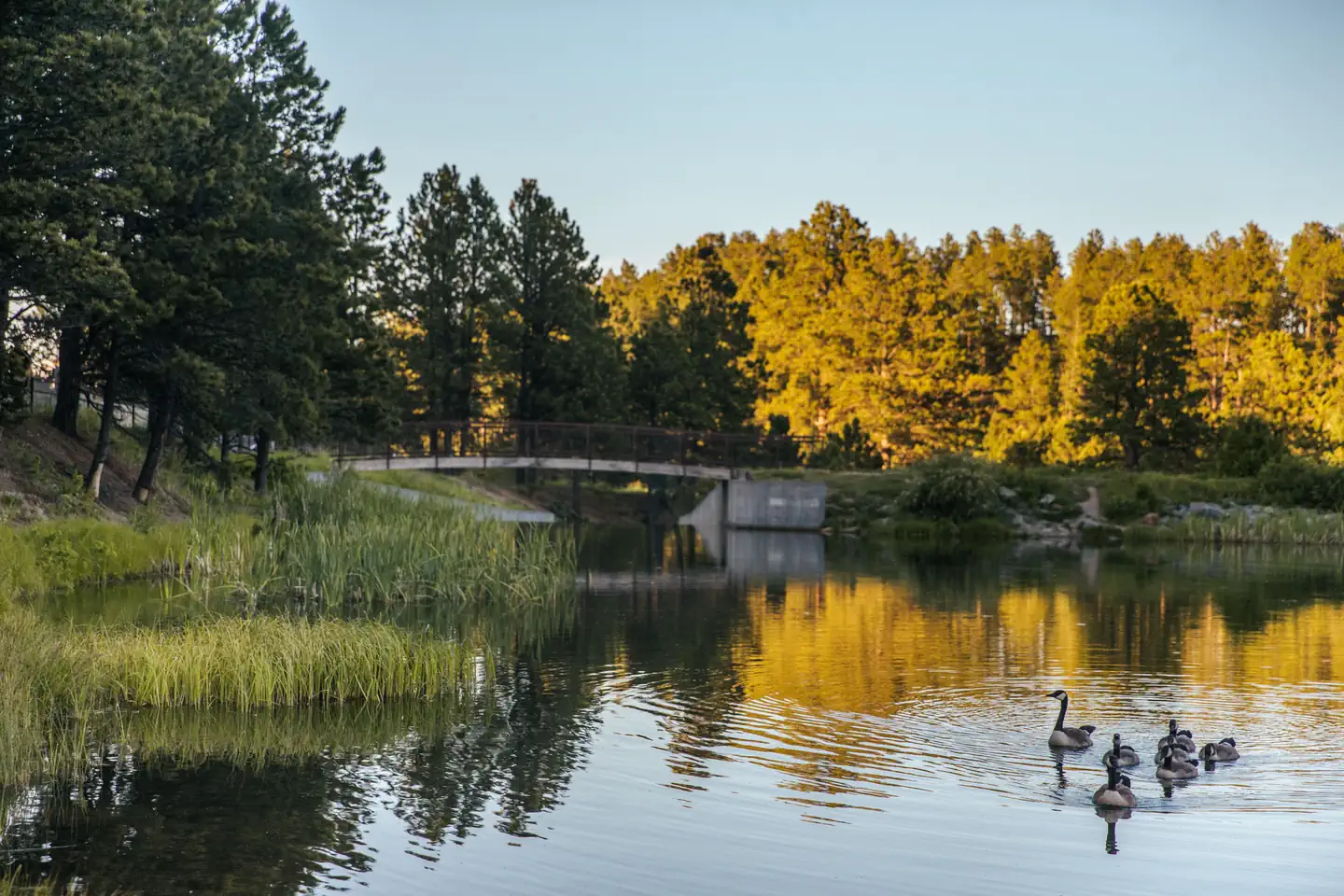 Bridge at Roubaix Lake