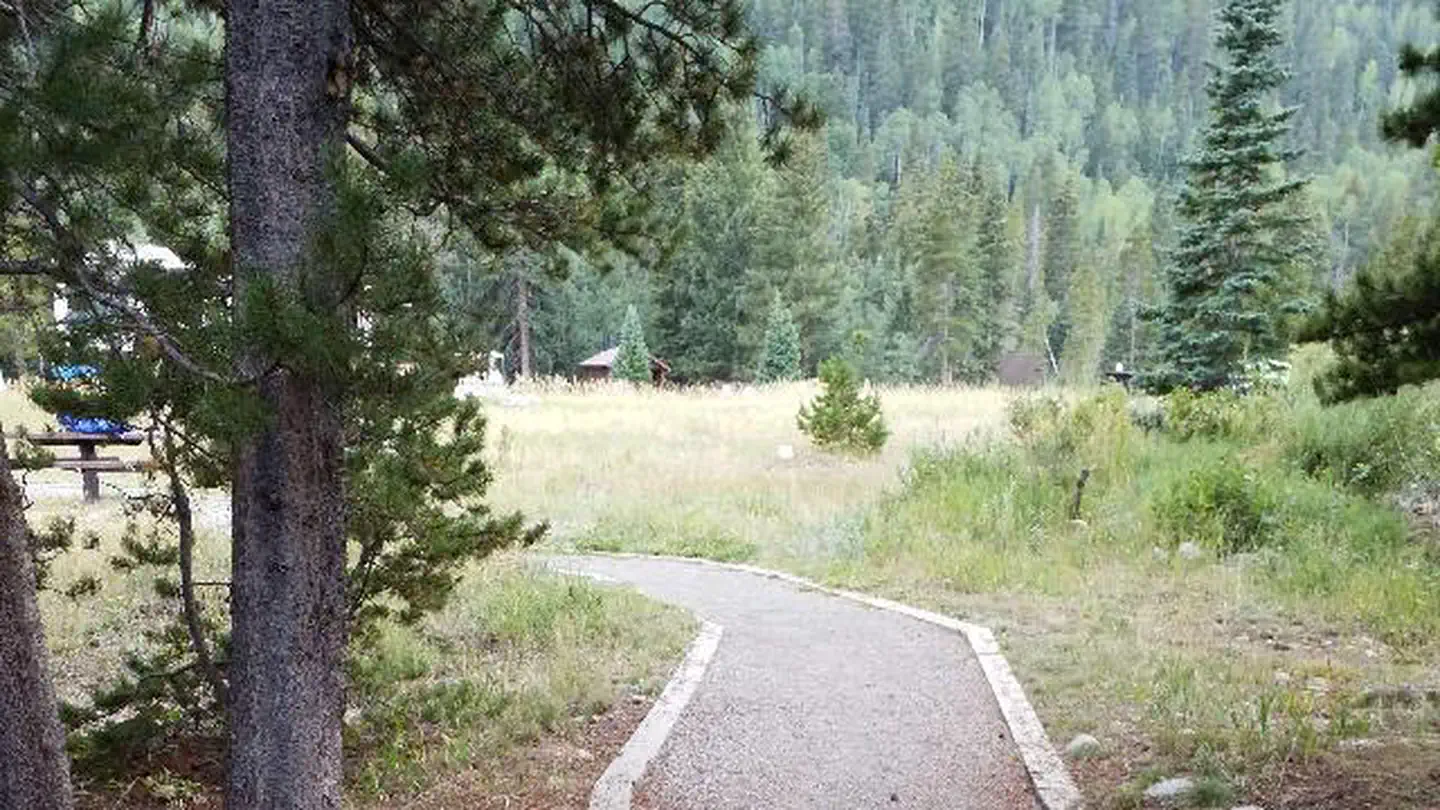 CAMP DICK