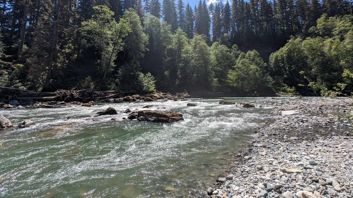Wiley Creek Group Camp