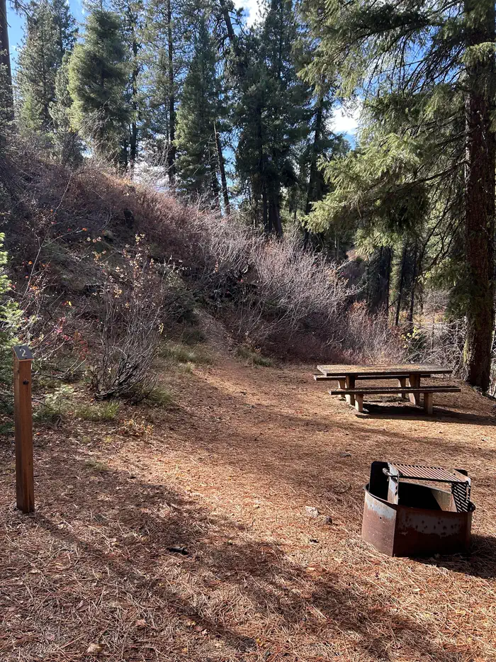 Campsite with a picnic table and fire ring.