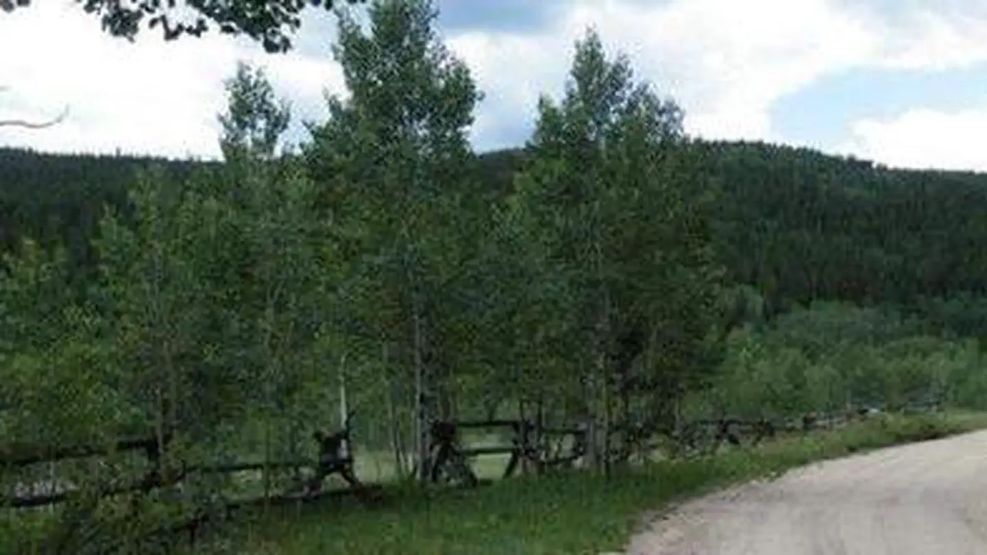 COLUMBINE CAMPGROUND