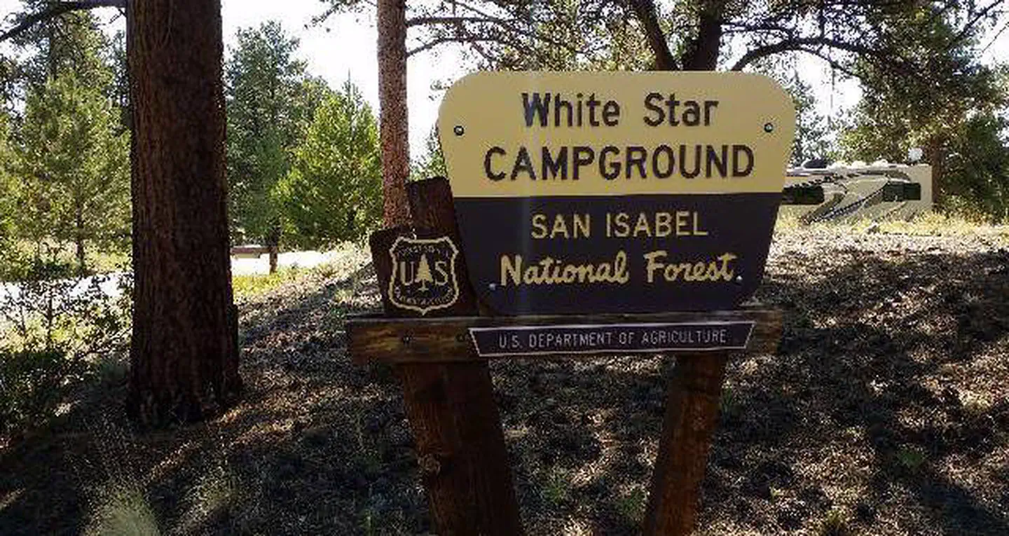 WHITE STAR