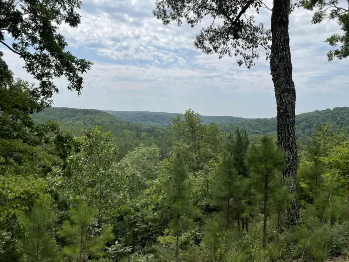 Pines Overlook campsite overlooking Huzzah Creek