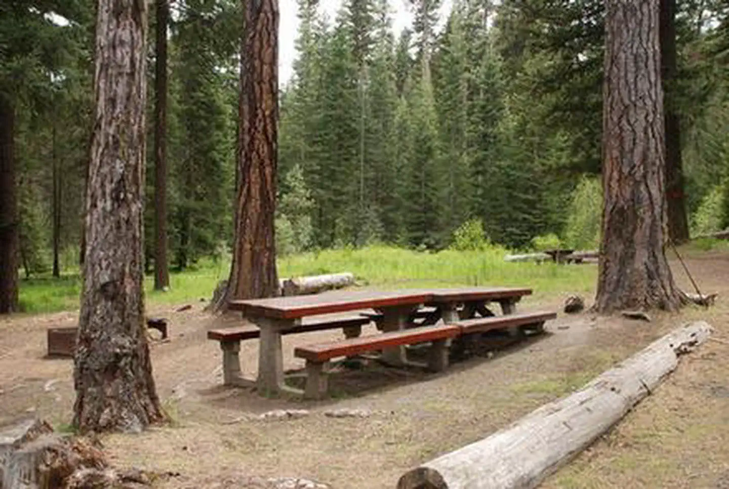 MINERAL SPRINGS GROUP