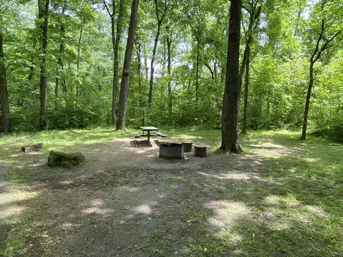 A open campsite with fire grill, picnic table, and rock barriers in the foreground and green vegatation background.