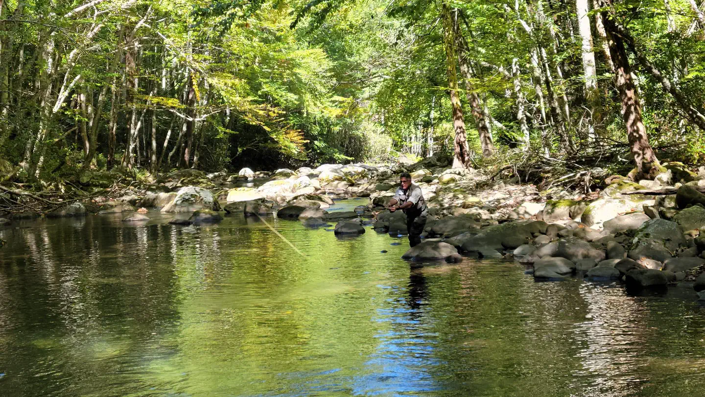 CATALOOCHEE GROUP CAMP