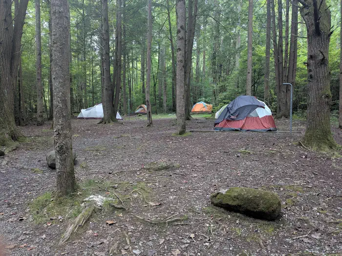 Camping in Big Creek