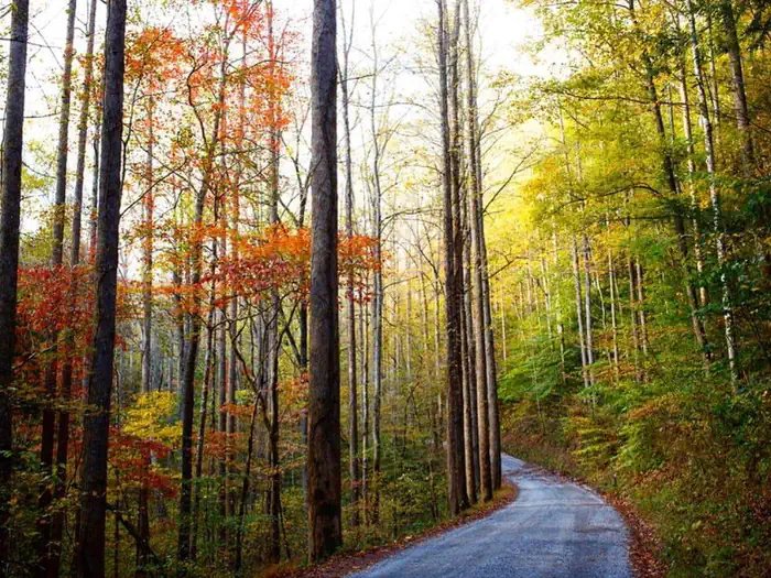 Big Creek Rd