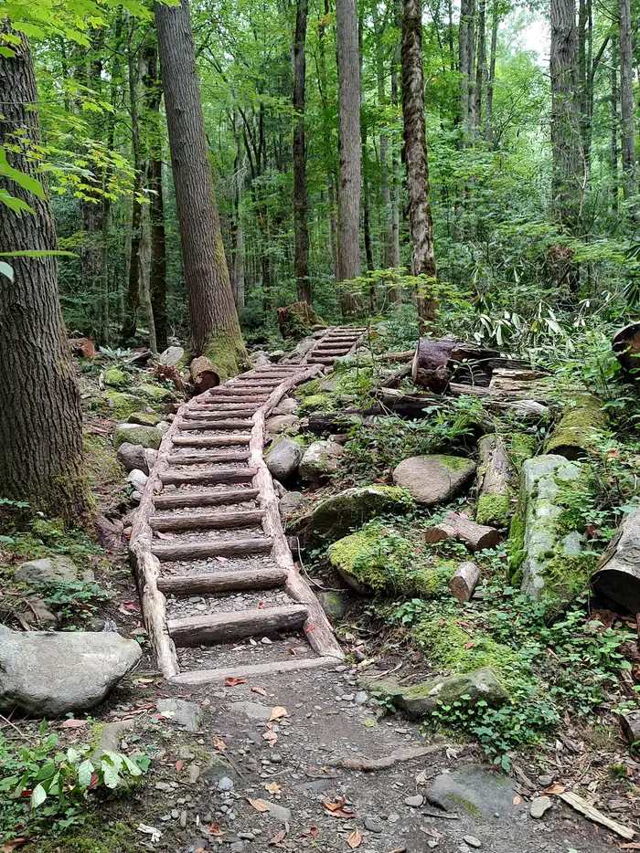 Nature trail