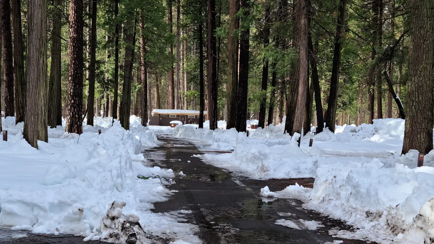 Upper Pines snow-plowed road