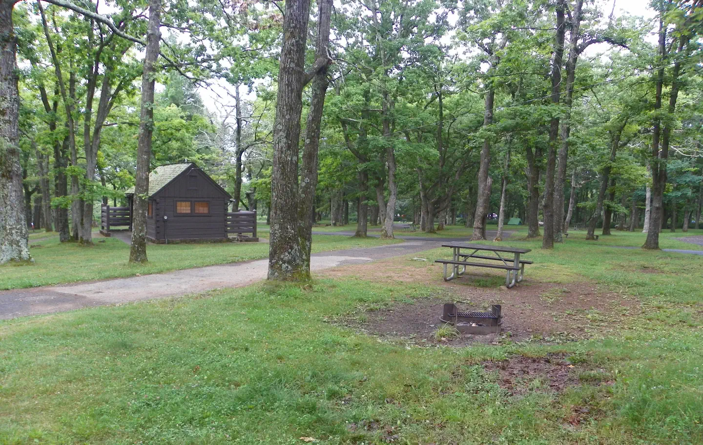 The driveway of a pull through campsite passes between tree trunks. At right, a picnic table and fire ring surrounded by a green lawn. In the background, is a wood cabin restroom building