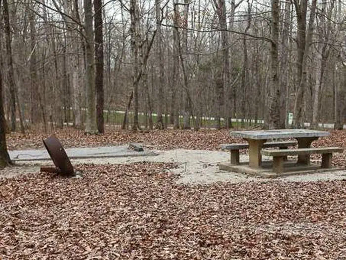 Campsite B 24