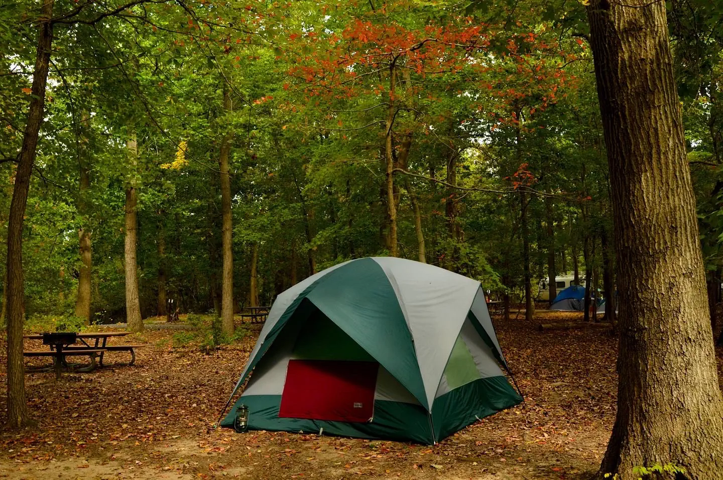 A Tent in the B loop in the Greenbelt Park Maryland campground