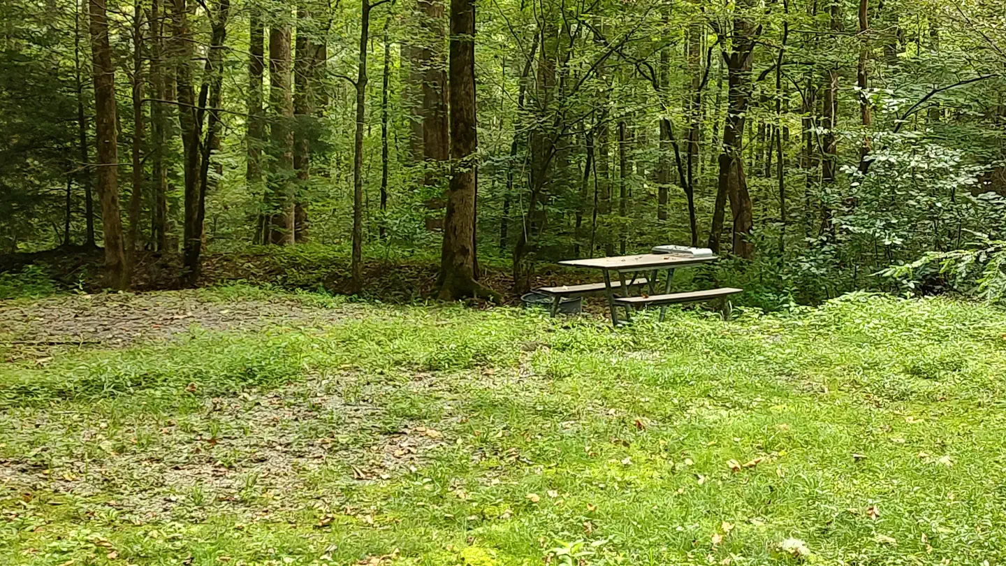 BIG CREEK HORSE CAMP