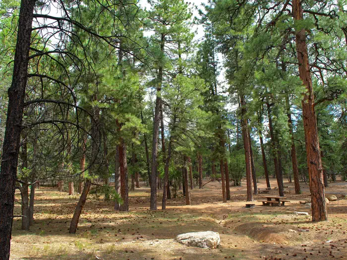 Mather campground staff working to open campground for the season.