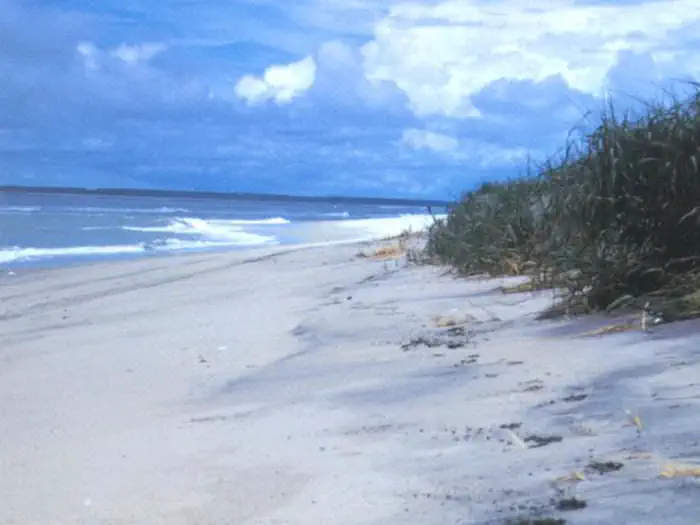 Assateague Island National Seashore beach and dunes