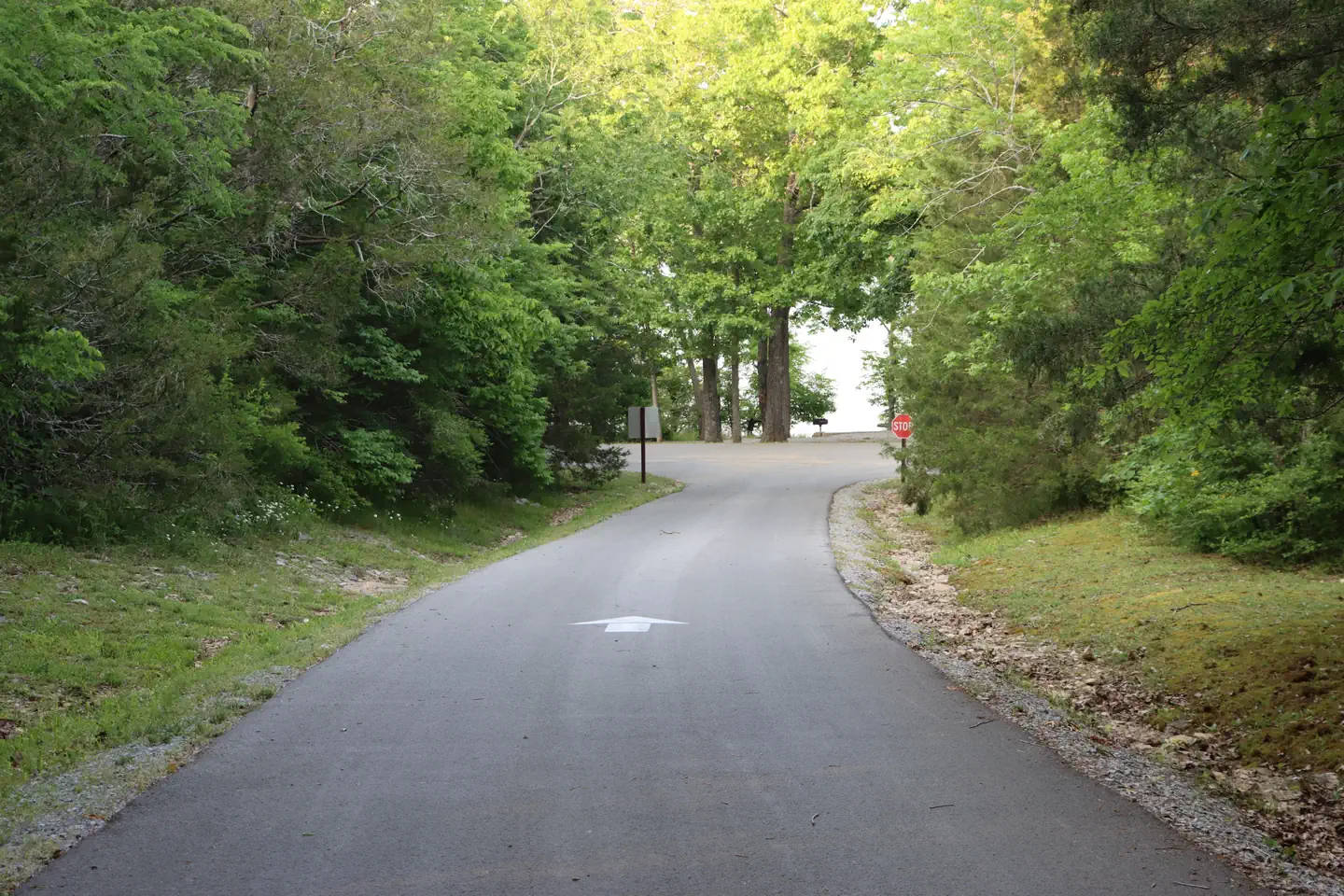 Anderson Road Campground Exit Road