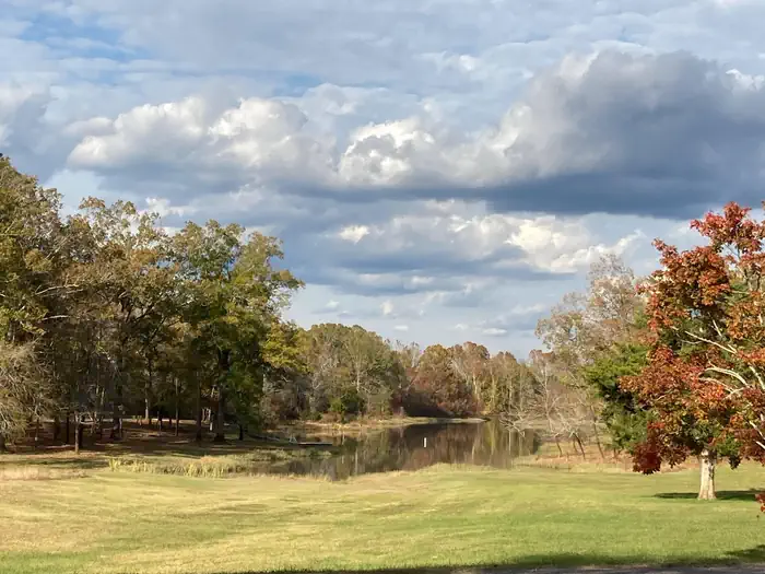Scenic view of the water.