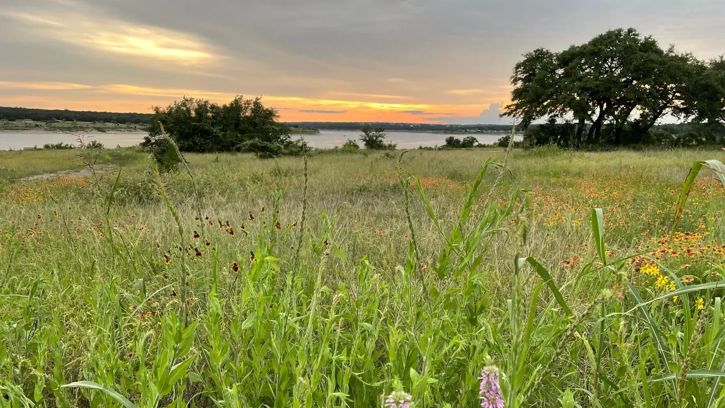 JIM HOGG PARK