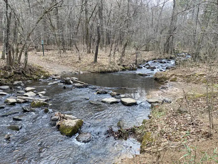 Collins Creek