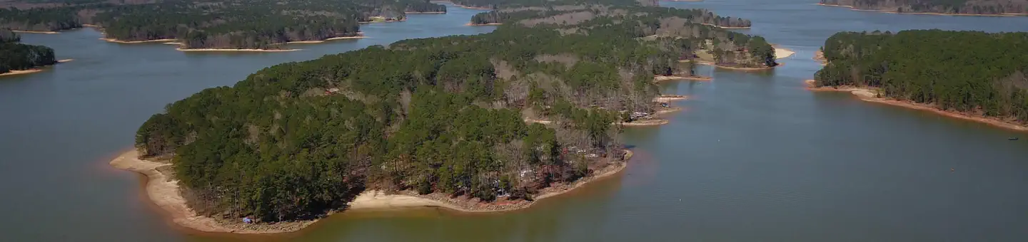 PINEY GROVE
