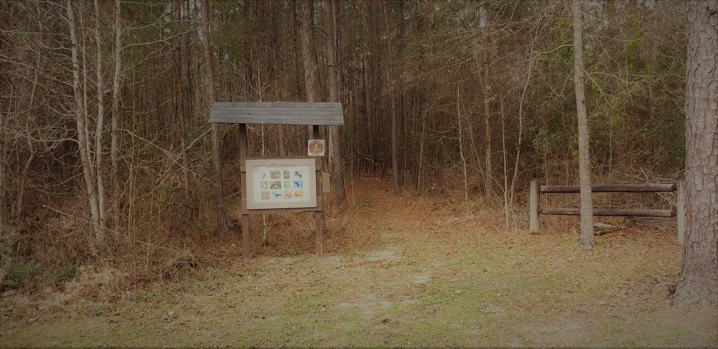 Service Park Trail Head