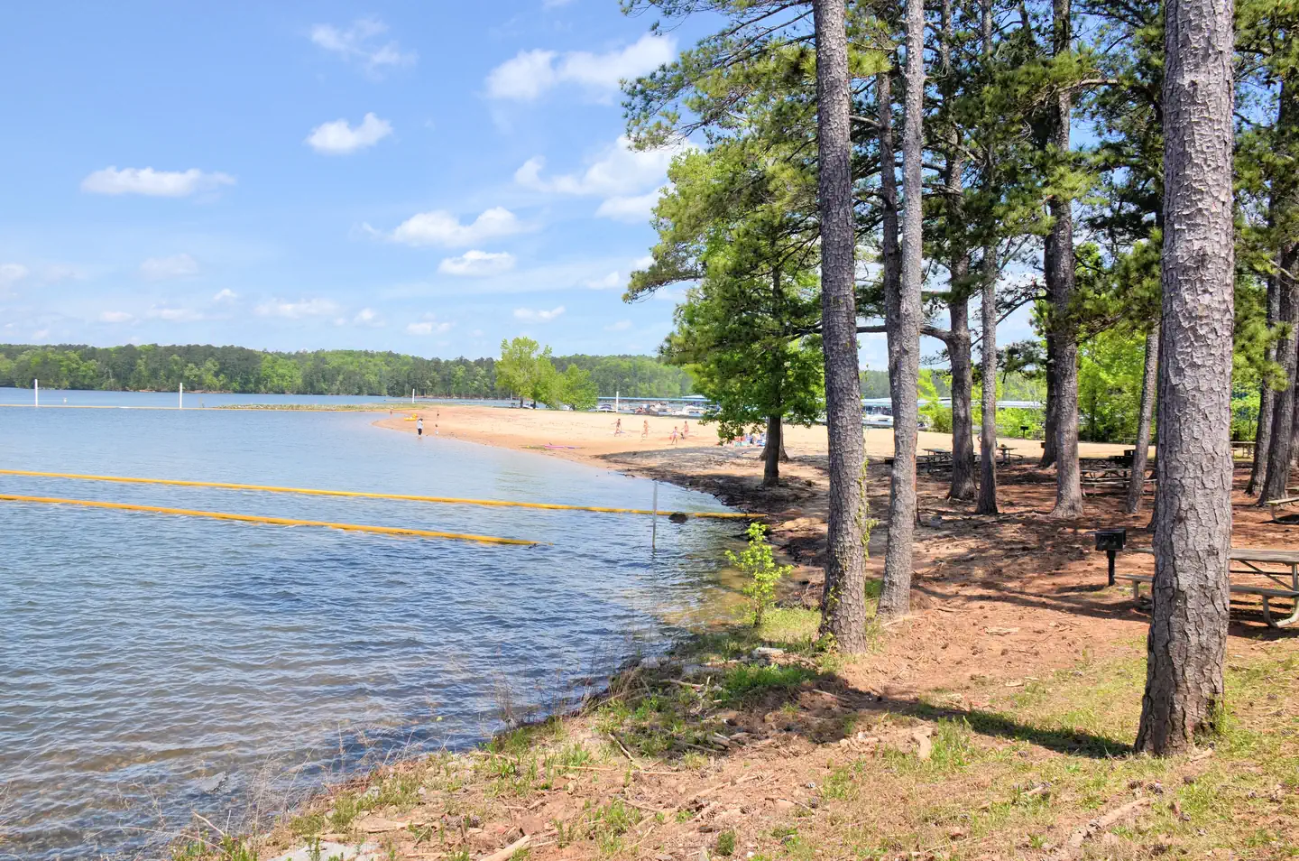 Victoria Day Use Swim Beach (6)