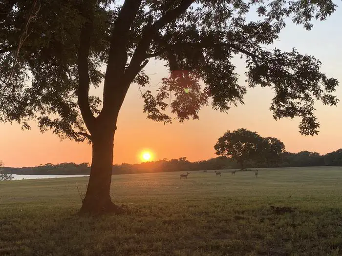 Wolf Creek Park (Navarro Mills Lake)