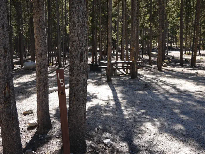 Basin Site 15