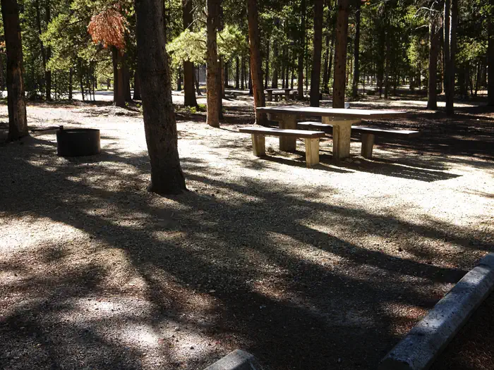 Basin Site 4