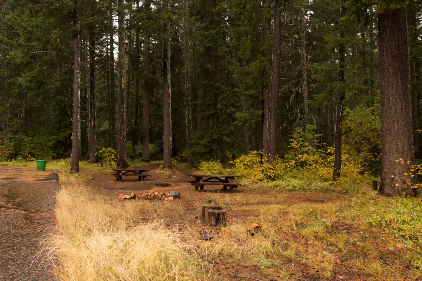 Atkisson Group Campsite